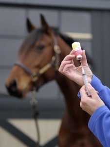 Equine Vaccine Clinic @ Crooked Creek Horse Park | Ford City | Pennsylvania | United States